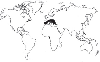 Pino laricio Procedencia Pino laricio Procedencia