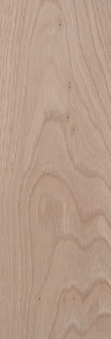 Castaño 2 Castaño 2