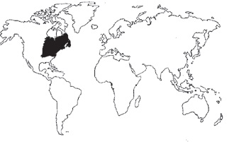 Fresno americano Procedencia Fresno americano Procedencia